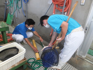 ヒラメ水槽の清掃１