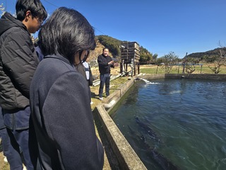 見学の様子４